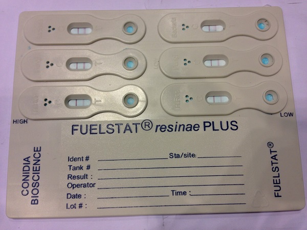 conidia test paddle